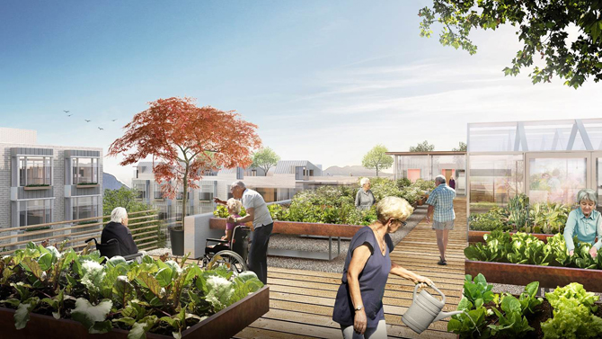 SVH Rooftop Garden Concept