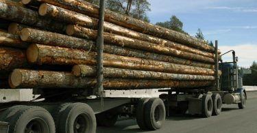 The companies have all cited the loss of timber supply from the beetle epidemic in the closures.