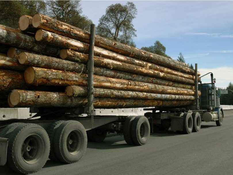 The companies have all cited the loss of timber supply from the beetle epidemic in the closures.