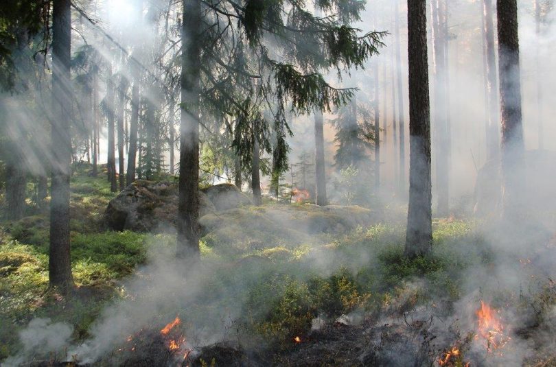 forest fires in lower mainland health problems