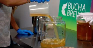 Kombucha is an ancient drink but is finding newfound popularity in North America. (Maggie MacPherson/CBC News)