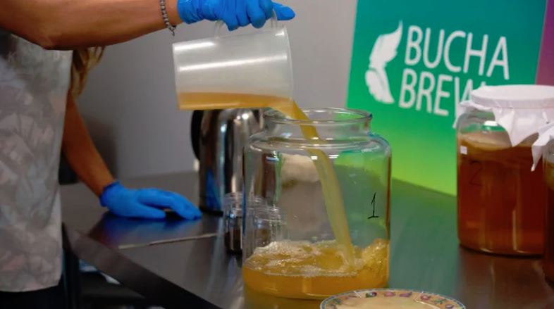Kombucha is an ancient drink but is finding newfound popularity in North America. (Maggie MacPherson/CBC News)