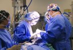 surgeons in the operating room