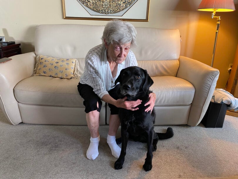 Woman smiling at black lab guide dog after regaining partial sight