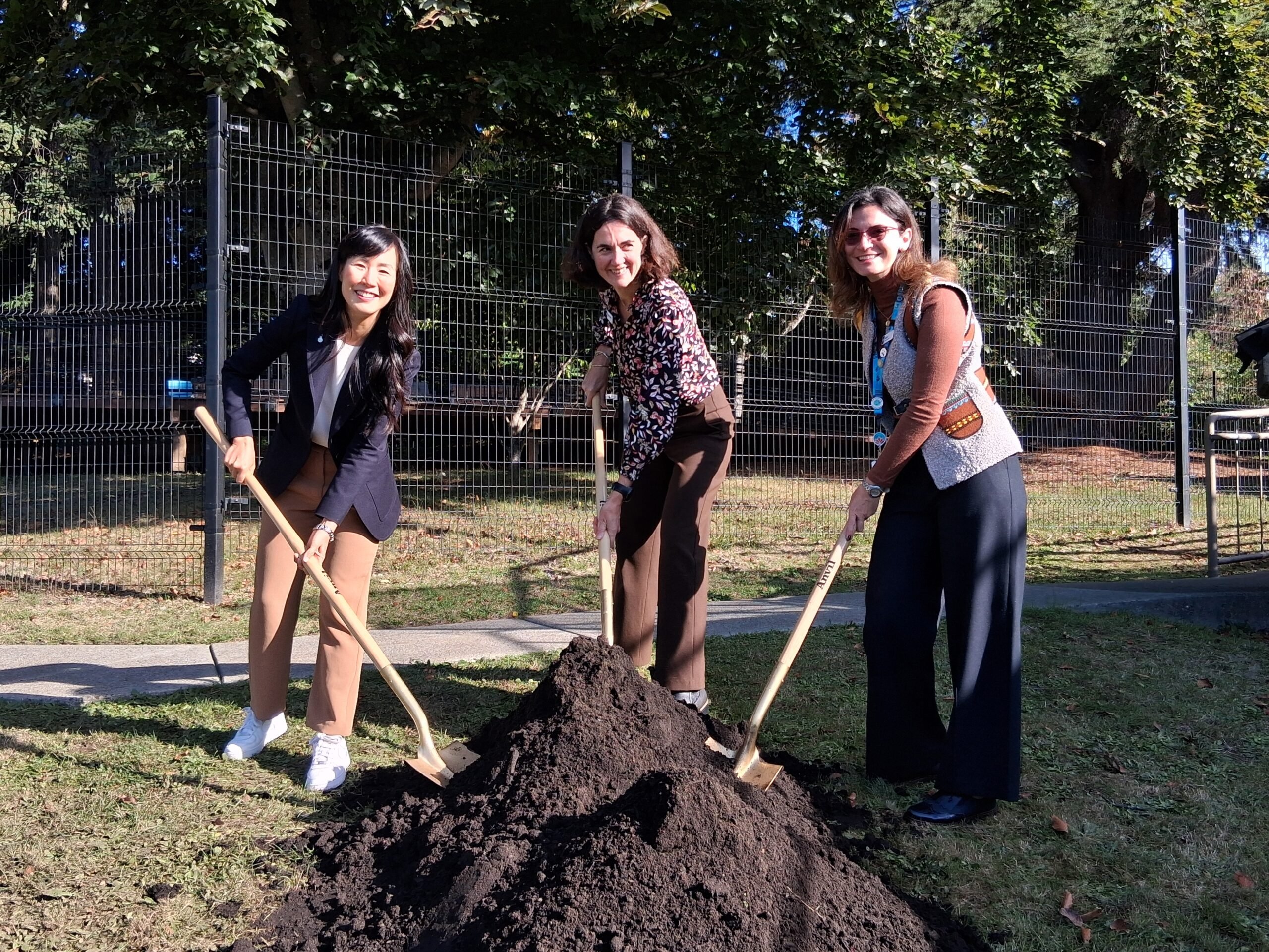 Trees for Health: A living thank you at Providence sites